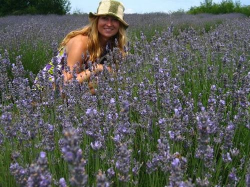 Ivy's Sweet Lavander (OPG Ćulumović)