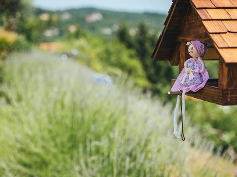 Lavanda Association