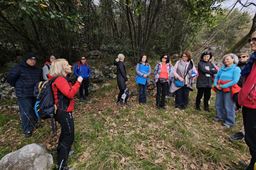 Mindfulness exercises in nature
