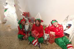 Advent in front of the Juraj Šporer Art Pavilion