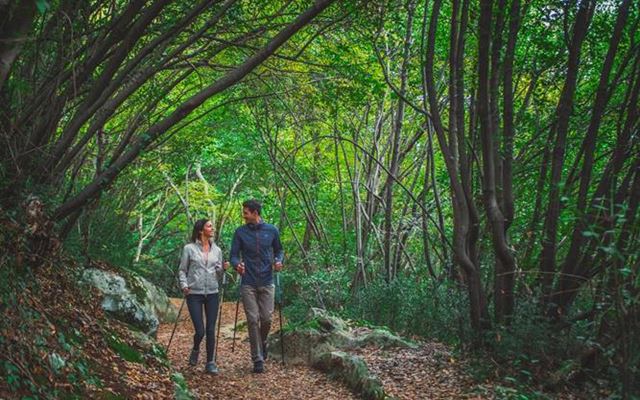 GUIDED ACTIVE WALKS AND NORDIC WALKING