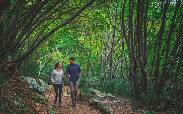 Aktive Spaziergänge und Nordic Walking