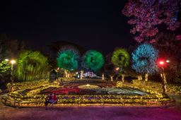 Advent im Angiolina Park