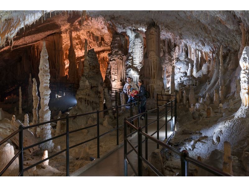 Explore the amazing Postojna Cave 