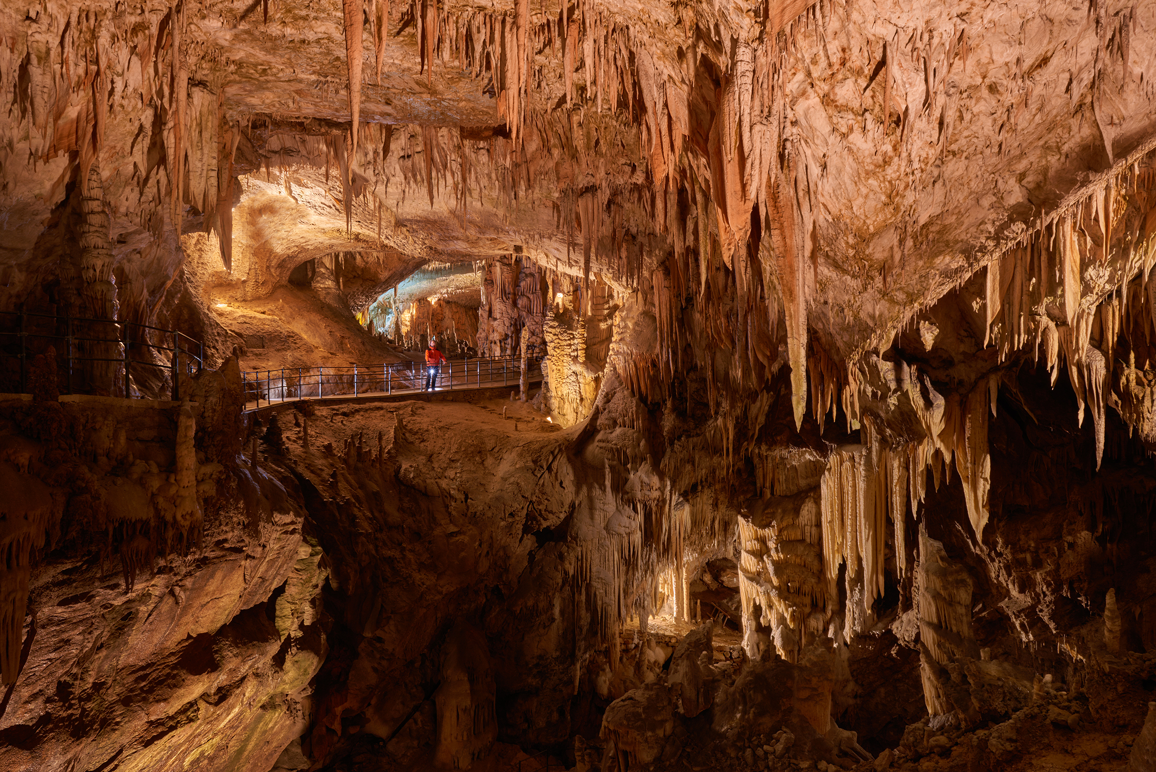 Erkunden Sie die erstaunlichen Höhlen von Postojna - Opatija