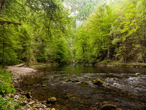Uživajte v Gorskem kotarju, oazi čarobnih gozdov in rek 